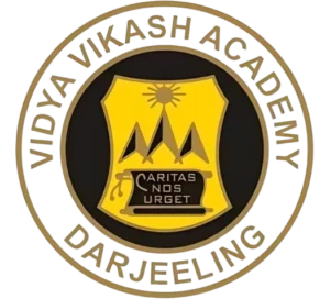 VVA Logo